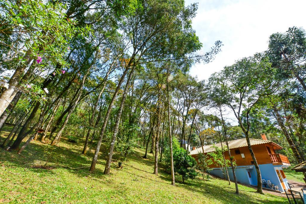 Pousada Bruxa Marela Monte Verde  Exterior foto
